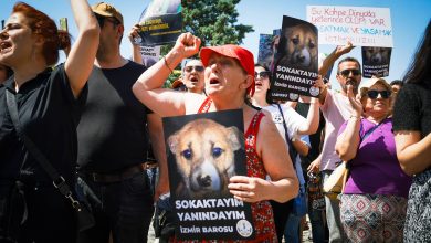 تركيا.. اشتباكات بين الشرطة ومحتجين بسبب مشروع قانون حول الكلاب الضالة