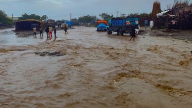 أمطار غزيرة تفاقم معاناة النازحين شرق السودان | أخبار